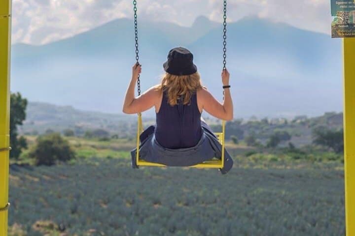 Tequila Premium Tour: Agave Fields, Distilleries & Volcano Views photo 4