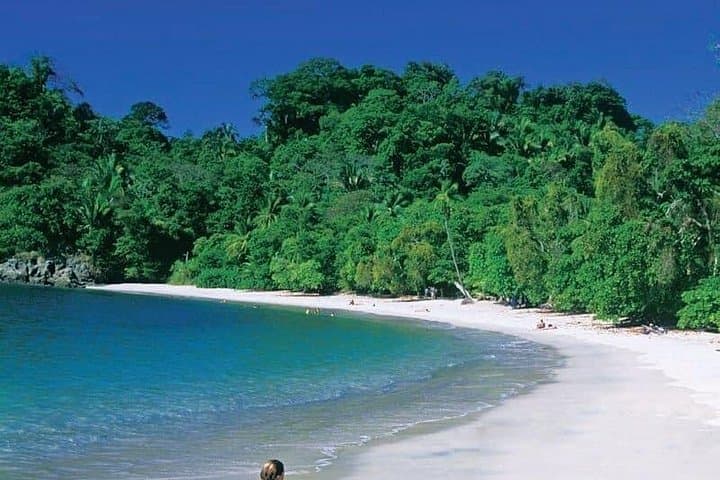 Private Day Trip from San José to Manuel Antonio National Park — Beaches, Wildlife & Guided Walk photo 4