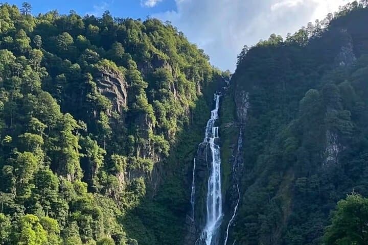 Mount Emei Golden Summit Private Day Tour from Chengdu photo 4