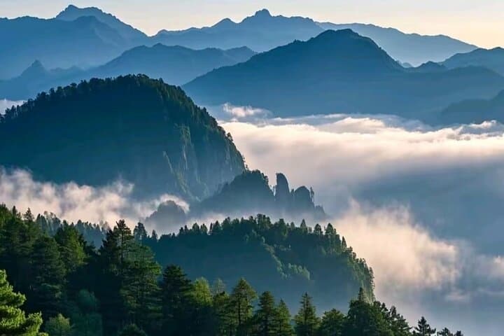 Mount Emei Golden Summit Private Day Tour from Chengdu photo 5