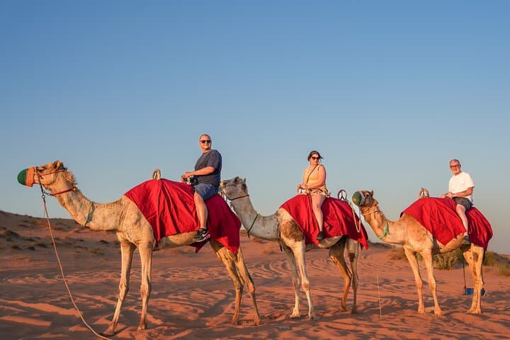 Dubai Red Dune Camel Trekking Desert Safari & BBQ Experience