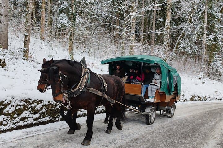 Private Neuschwanstein & Linderhof Day Trip from Munich — Royal Castles and Alpine Views photo 4