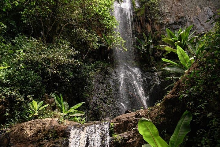 Endoro Falls and Forest Trail — Karatu’s Waterfall Hike and Cultural Coffee Visit