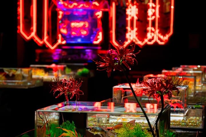 Art Aquarium Museum Ginza — Goldfish, Light Shows & Edo-Inspired Installations photo 2