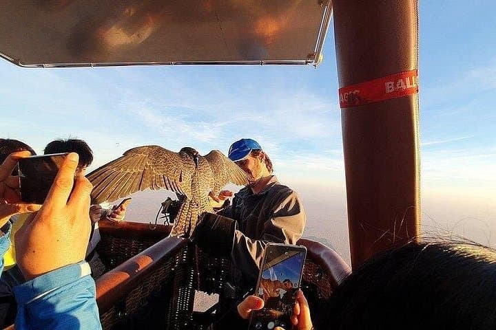 Sunrise Hot Air Balloon Over Dubai Desert with Gourmet Breakfast & Falcon Show photo 2