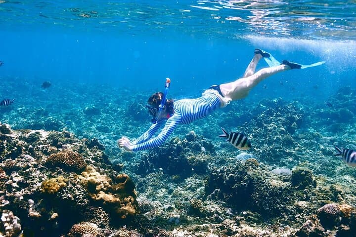 Full-Day Snorkeling Trip to Hamata & Qulaan Islands from Marsa Alam photo 6