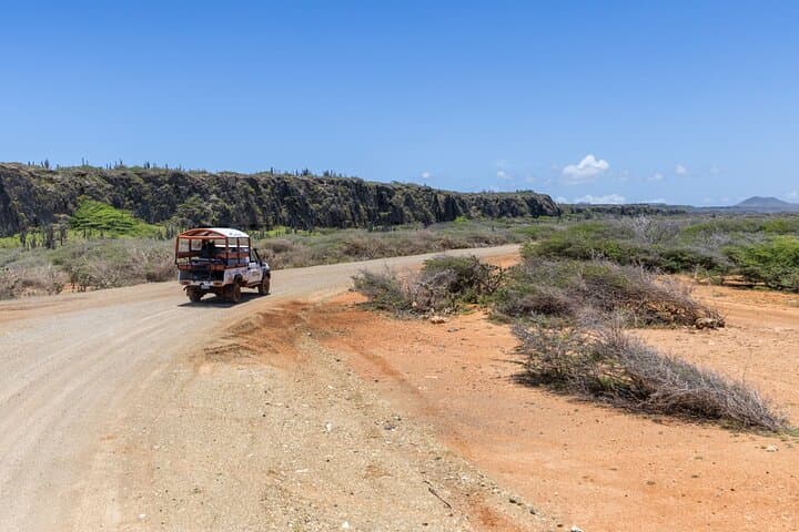 Snorkel Safari Tour in Curaçao: Swim with Turtles and Explore the Rugged North Coast photo 6