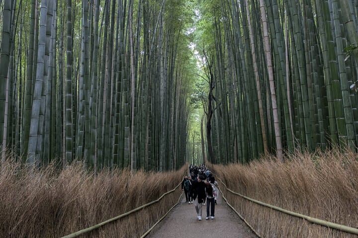 8‑Hour Private Kyoto Tour with Licensed Guide & Private Car — Nijo, Arashiyama, Kinkaku‑ji & Fushimi Inari photo 5