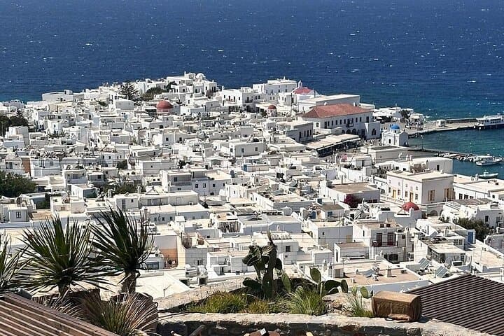 Mykonos Island Highlights: Windmills, Beaches & Villages in One Day photo 5