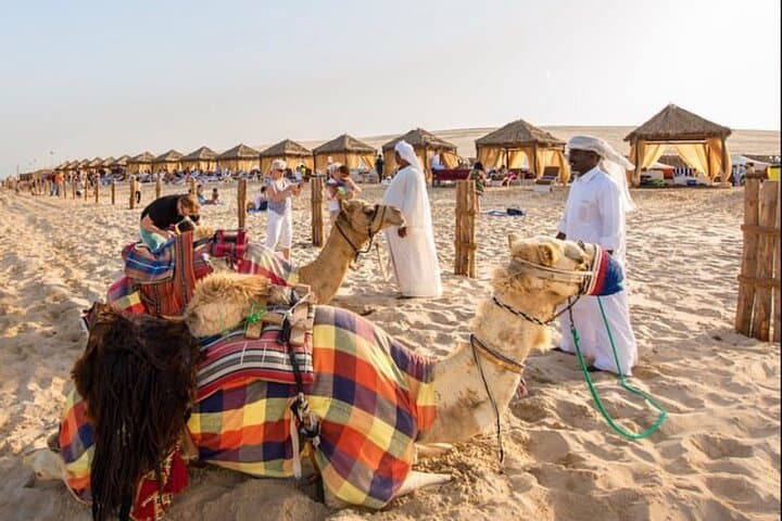 Doha Transit Safari: Dune Bashing, Camel Ride & Inland Sea Day Tour photo 4