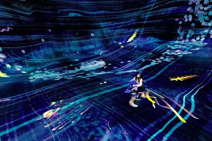 teamLab Phenomena Abu Dhabi: An Interactive Light & Motion Experience in Saadiyat photo 5