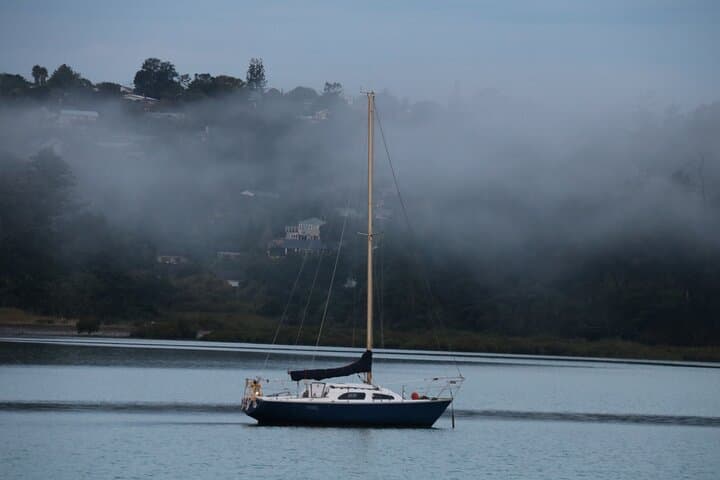 Discover Auckland’s Famous Spots: Sky Tower, Devonport & Piha Beach Private Tour photo 2