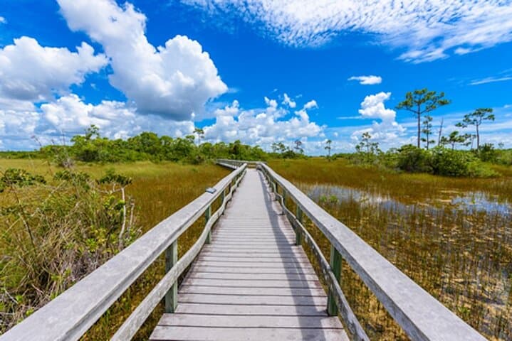 Everglades Self-Guided Driving Tour: GPS Audio Guide from Ernest F. Coe photo 3