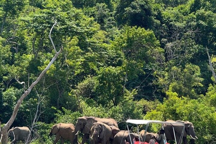 3-Day Gorilla Trekking & Lake Bunyonyi Adventure — Bwindi Mountain Gorillas and Canoe Escape photo 6