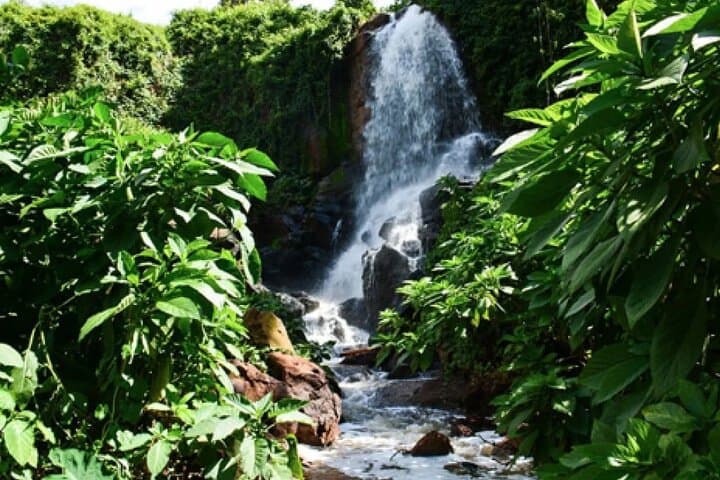 Fairview Coffee Farm Tour: Nairobi Farm-to-Cup Experience at the Highlands photo 6