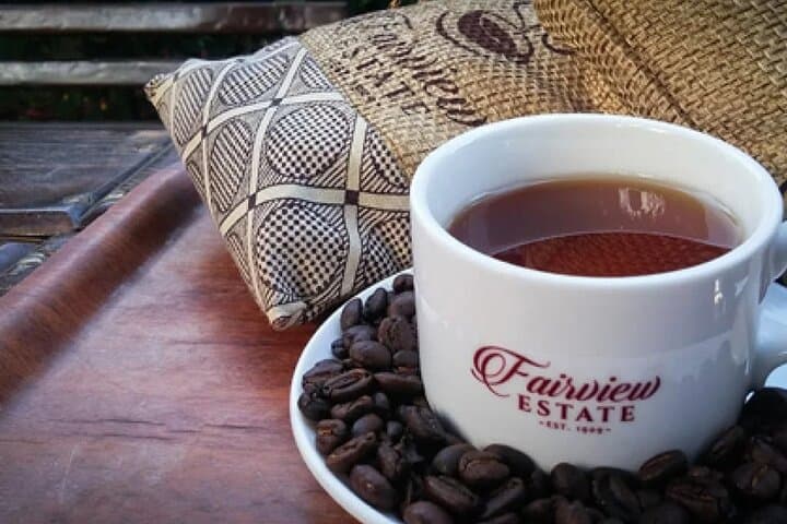 Fairview Coffee Farm Tour: Nairobi Farm-to-Cup Experience at the Highlands