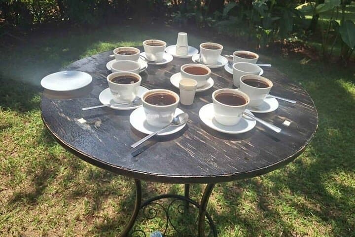 Fairview Coffee Farm Tour: Nairobi Farm-to-Cup Experience at the Highlands photo 4