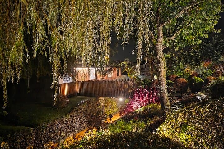 São Miguel Vulcanic Experience in Furnas — Thermal Baths, Fumaroles & Tea