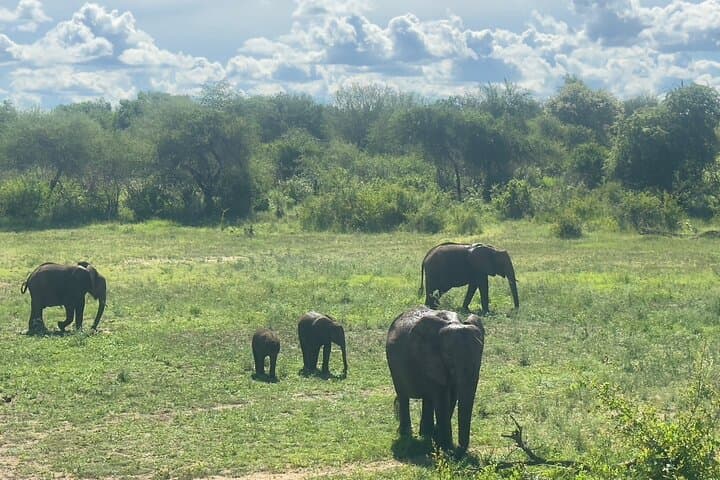 5-Day Mpumalanga Adventure: Blyde River Canyon, Kruger Safari & Sudwala Caves photo 5
