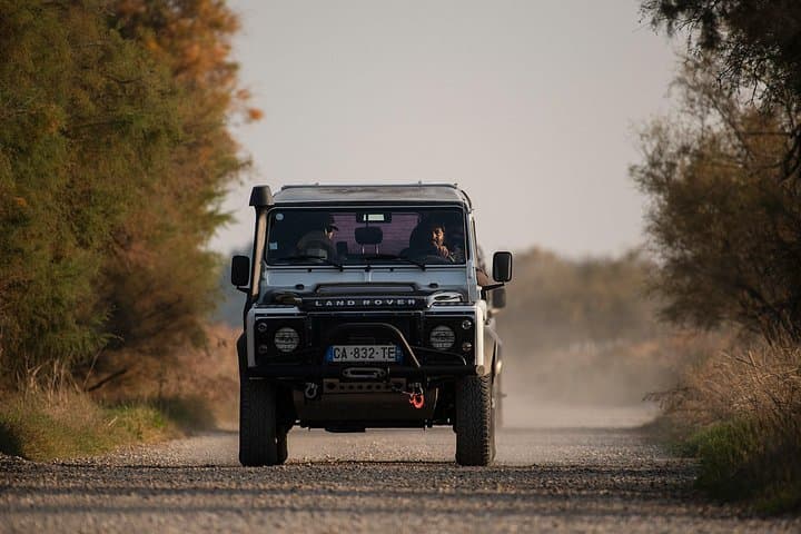 Camargue 4x4 Safari from Arles — 4-Hour Wild Horses, Flamingos & Salt Flats