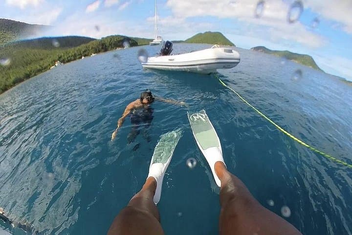 Half-Day Sail to Lime Out VI — Gourmet Tacos & Snorkeling from St. Thomas photo 3