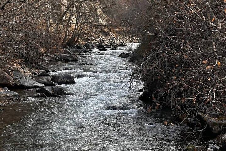 Charyn Canyon & Kolsai Lakes Day Trip from Almaty: Valley of Castles to Alpine Shores photo 6