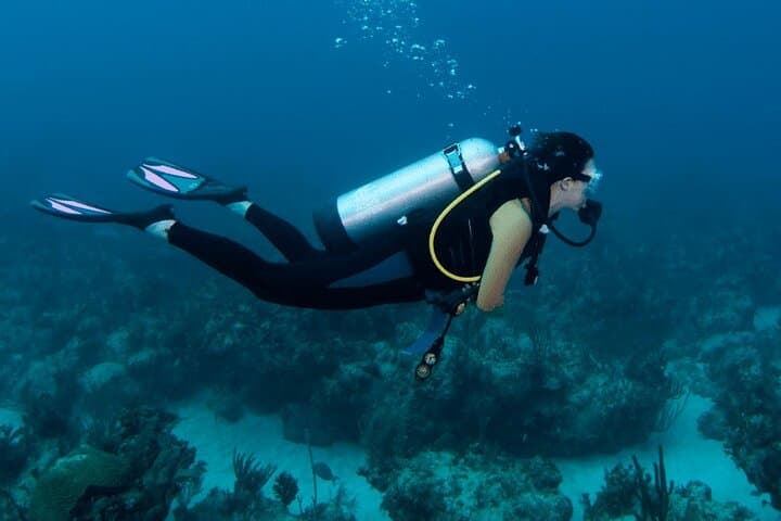 Jumeirah Scuba Dive: Guided Underwater Adventure Off Dubai's Coast photo 3