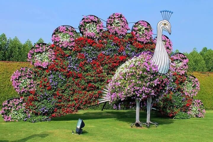 Dubai Miracle Garden From Ras Al Khaimah — Skip-the-Line Admission & Transfers photo 2