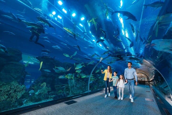 Inside Dubai Aquarium: Tunnel Walks, Penguins & Behind-the-Scenes Access