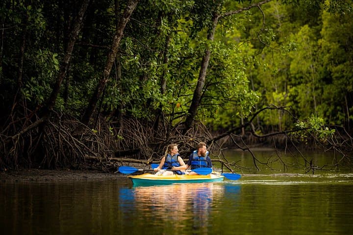 Kayaking Kilim Geoforest Park: Guided Mangrove & Bat Cave Tour in Langkawi photo 3