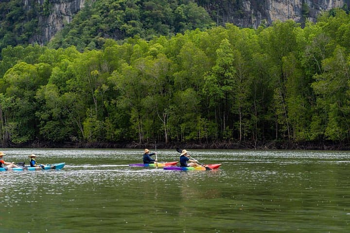 Kayaking Kilim Geoforest Park: Guided Mangrove & Bat Cave Tour in Langkawi photo 5