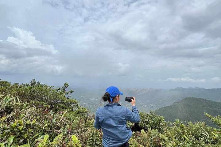 Cerro Gaital Trail: Conquer El Valle’s Best Cloud-Forest Peak photo 3