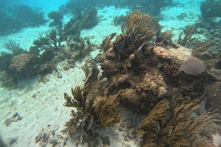 Costa Maya Fishing and Snorkeling: 4-Hour Private Boat Trip photo 3