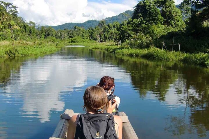 3-Day Manu Amazon Experience: Manu Lodge Wildlife & Macaw Clay Lick