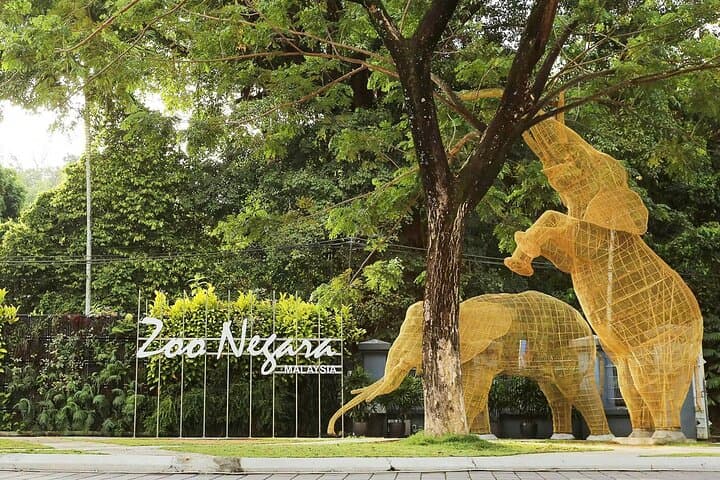 Zoo Negara & Panda Conservation Centre Tickets — Close-Up Wildlife Experience in Kuala Lumpur