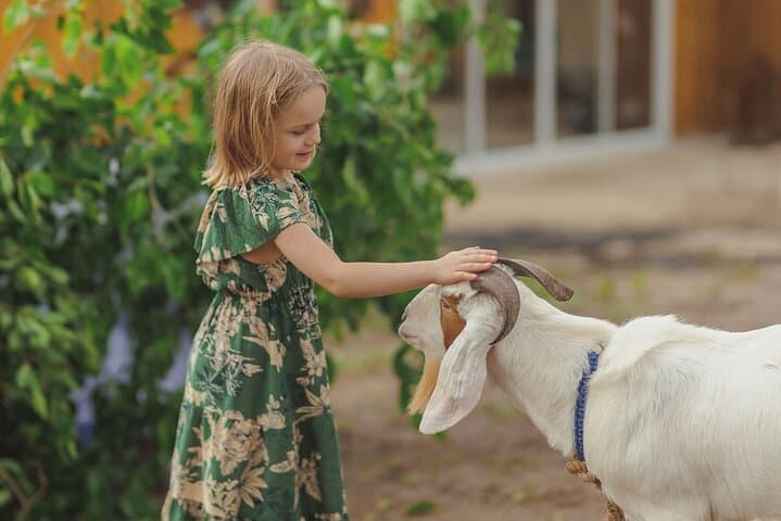 Cherngtalay Nature Camp for Ages 3–6: Outdoor Learning in Phuket
