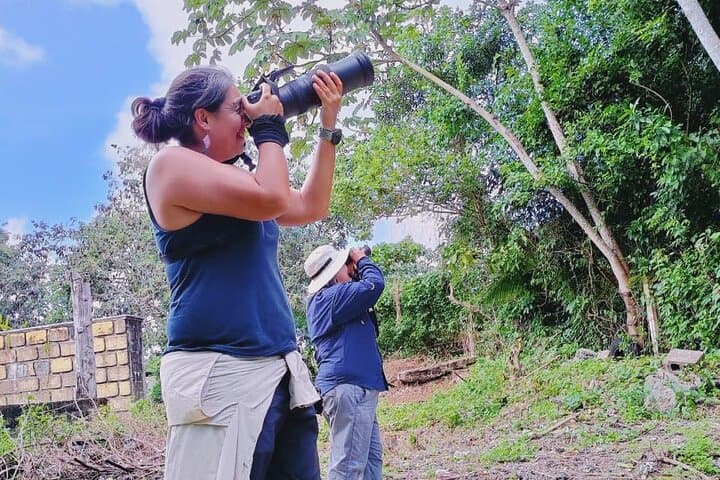 Dawn Birdwatching Tour on Cozumel: Guide to Species, Sites, and Logistics photo 4