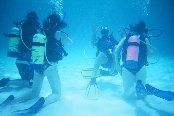 Complete PADI Open Water Referral Dives 1 & 2 in Anguilla photo 2
