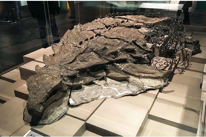Drumheller Day Trip: Badlands, Royal Tyrrell Museum & Hoodoos photo 3