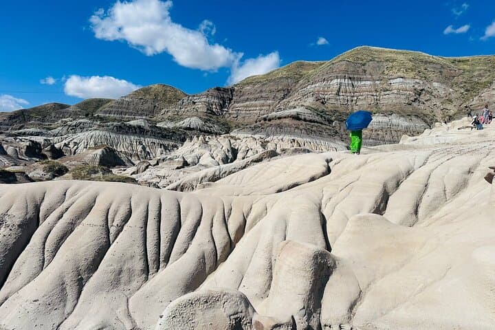 Drumheller Day Trip: Badlands, Royal Tyrrell Museum & Hoodoos photo 6