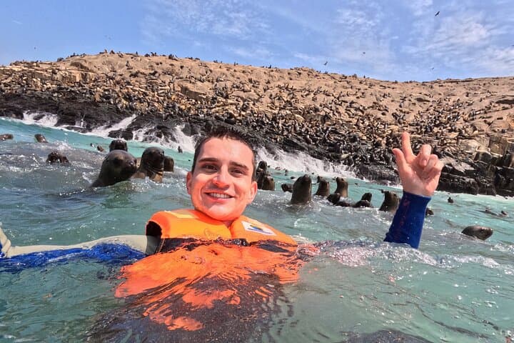 Swim with Sea Lions at Palomino Islands: Lima Yacht Wildlife Tour photo 3