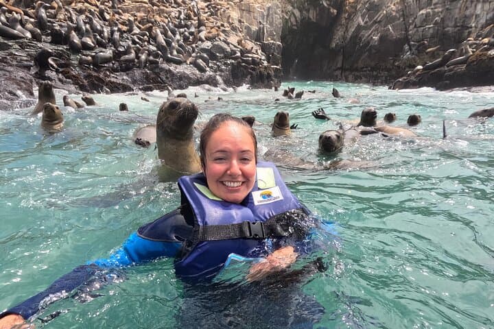 Swim with Sea Lions at Palomino Islands: Lima Yacht Wildlife Tour photo 4
