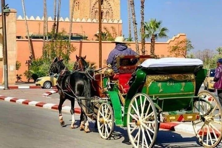 Marrakech Horse Carriage Tour: Guided Medina & Koutoubia Sights in One Hour photo 4