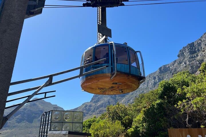 Cape Town Highlights: Robben Island & Table Mountain Day Tour photo 5