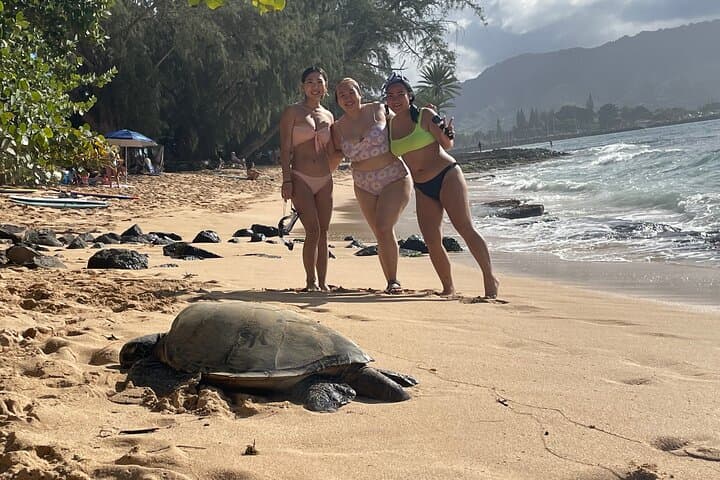 Oahu Circle Island Tour: Diamond Head to North Shore with Free Mac Nuts photo 3