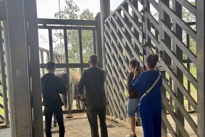 Yok Don Elephant Sanctuary: Rescue Center and Don Village Cultural Tour photo 2