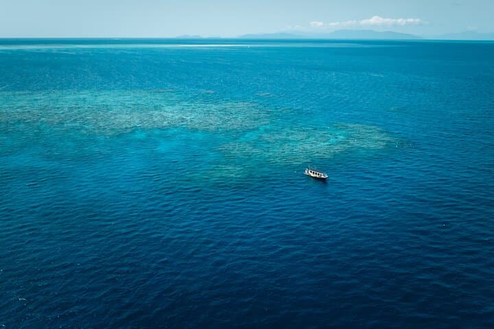 Cairns Great Barrier Reef Snorkel & Scenic Flight — Upolu Reef and Michaelmas Cay photo 3