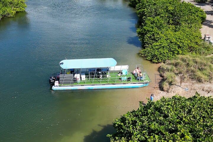 Private Eco Paddle Excursion in Fort Lauderdale Mangroves photo 2
