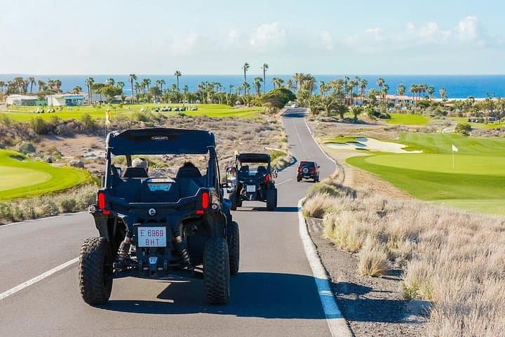 Tenerife South Coast Buggy Adventure — Golf del Sur to El Médano Coastal Drive