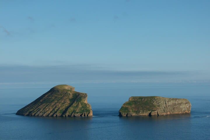 Terceira Private Whale-Watching and Dolphin Swim to Ilhéus das Cabras photo 6